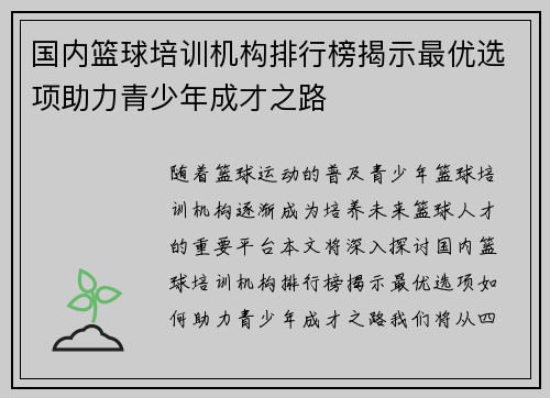 国内篮球培训机构排行榜揭示最优选项助力青少年成才之路